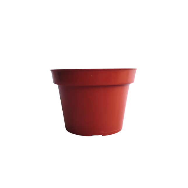 Maceta De Plástico No. 4 Para Jardín | Macetero Resistente - La Veinte Limpieza y Tlapalería